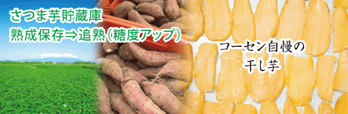 sp表示用画像。鹿児島県産のさつまいも「紅はるか」を使用して干し芋と焼き芋をOEM製造。さつま芋貯蔵庫で熟成保存して追熟した後にじっくりと蒸し焼き、その後丁寧に乾燥させて甘くやわらかい干し芋に仕上げています。