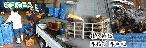 sp表示用画像。鹿児島県産のさつま芋の紅はるかを使用しています。さつま芋貯蔵庫で熟成保存して追熟した後にじっくりと蒸し焼き。その後丁寧に乾燥させて甘くやわらかい干し芋に仕上げています。