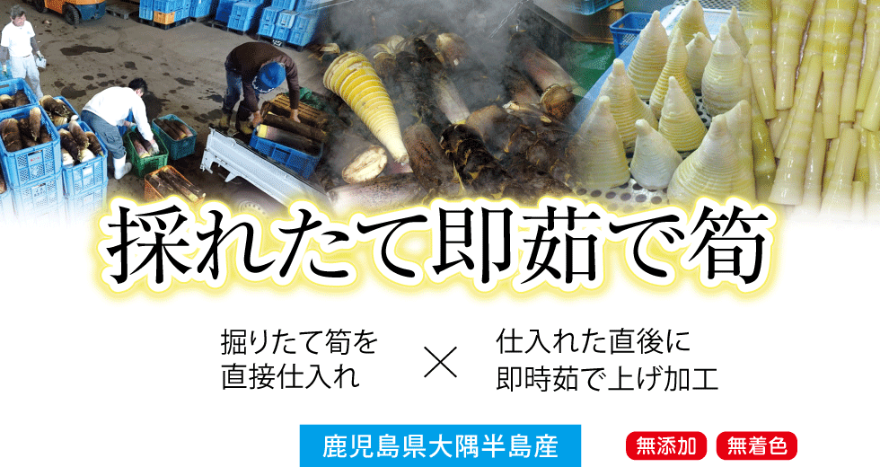 採れたて即茹で筍。鹿児島県の南東部に位置する大隅半島で掘りたてタケノコを生産者より直接仕入れています。仕入れた直後に即時茹で上げ、灰汁抜きして製品加工します。無添加で無着色の製品です。