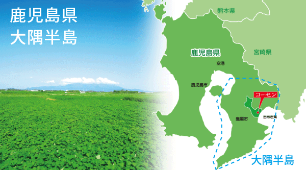 鹿児島県南東部の大隅半島にあります。大崎町は南東側には海、北西側には高隅山があるとても温暖な気候の中で、野菜やいも類を多く生産している自然豊かな地域です。